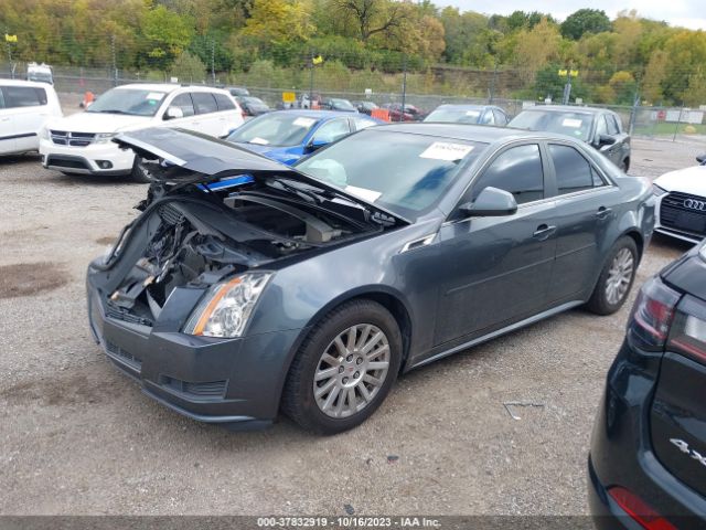 Photo 1 VIN: 1G6DA5EYXB0119061 - CADILLAC CTS 