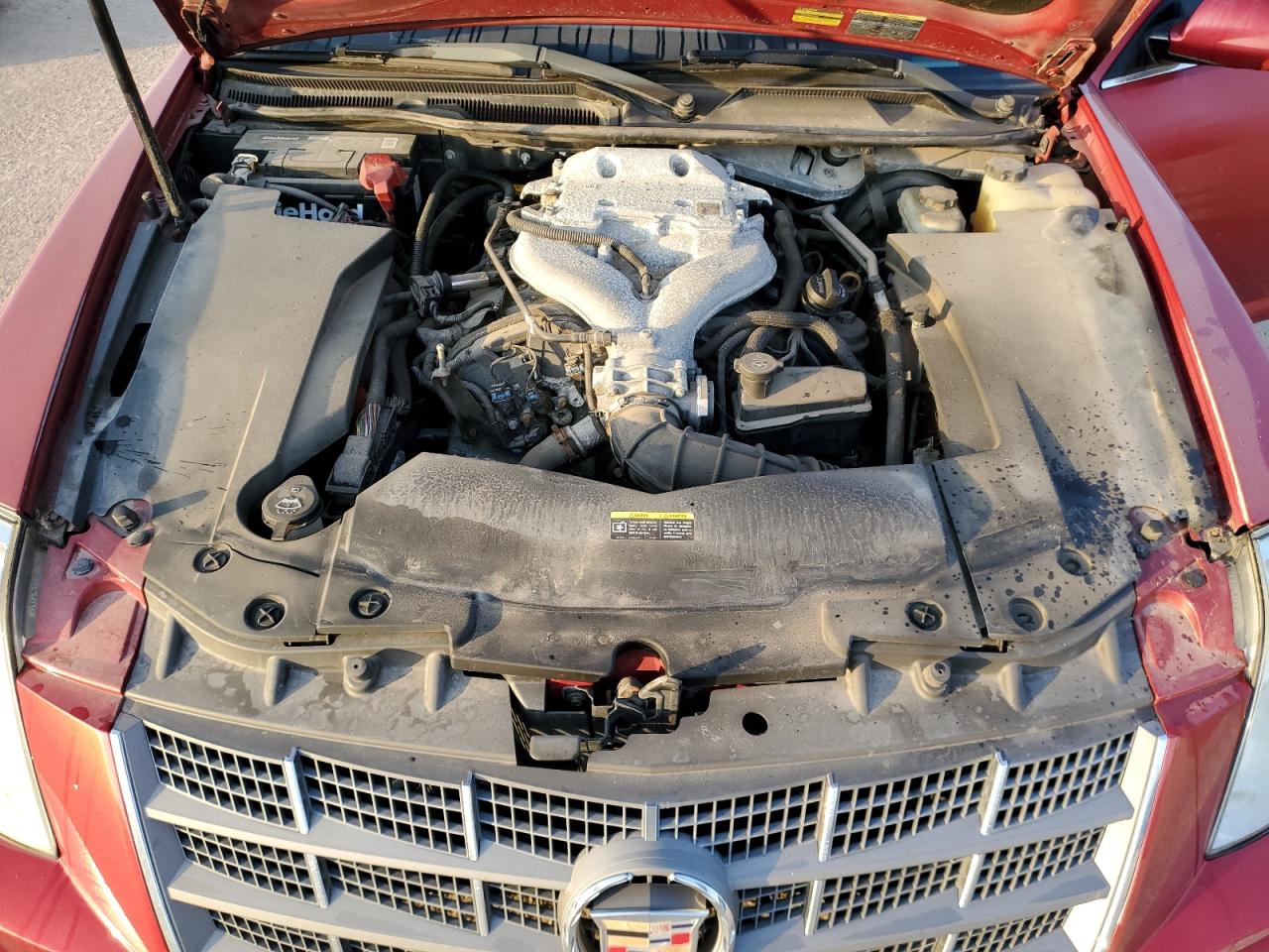 Photo 10 VIN: 1G6DA67V780150348 - CADILLAC STS 