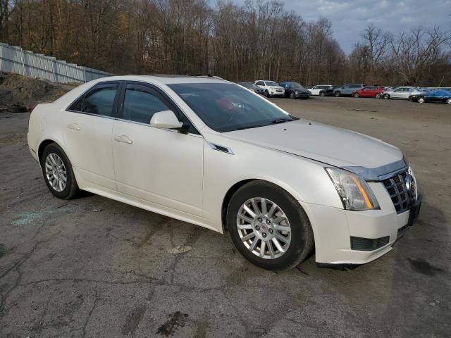 Photo 3 VIN: 1G6DC5E50C0116106 - CADILLAC CTS 