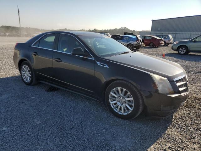 Photo 3 VIN: 1G6DC5EY2B0112177 - CADILLAC CTS 