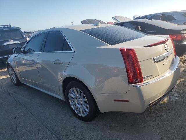 Photo 1 VIN: 1G6DC5EY3B0118957 - CADILLAC CTS 