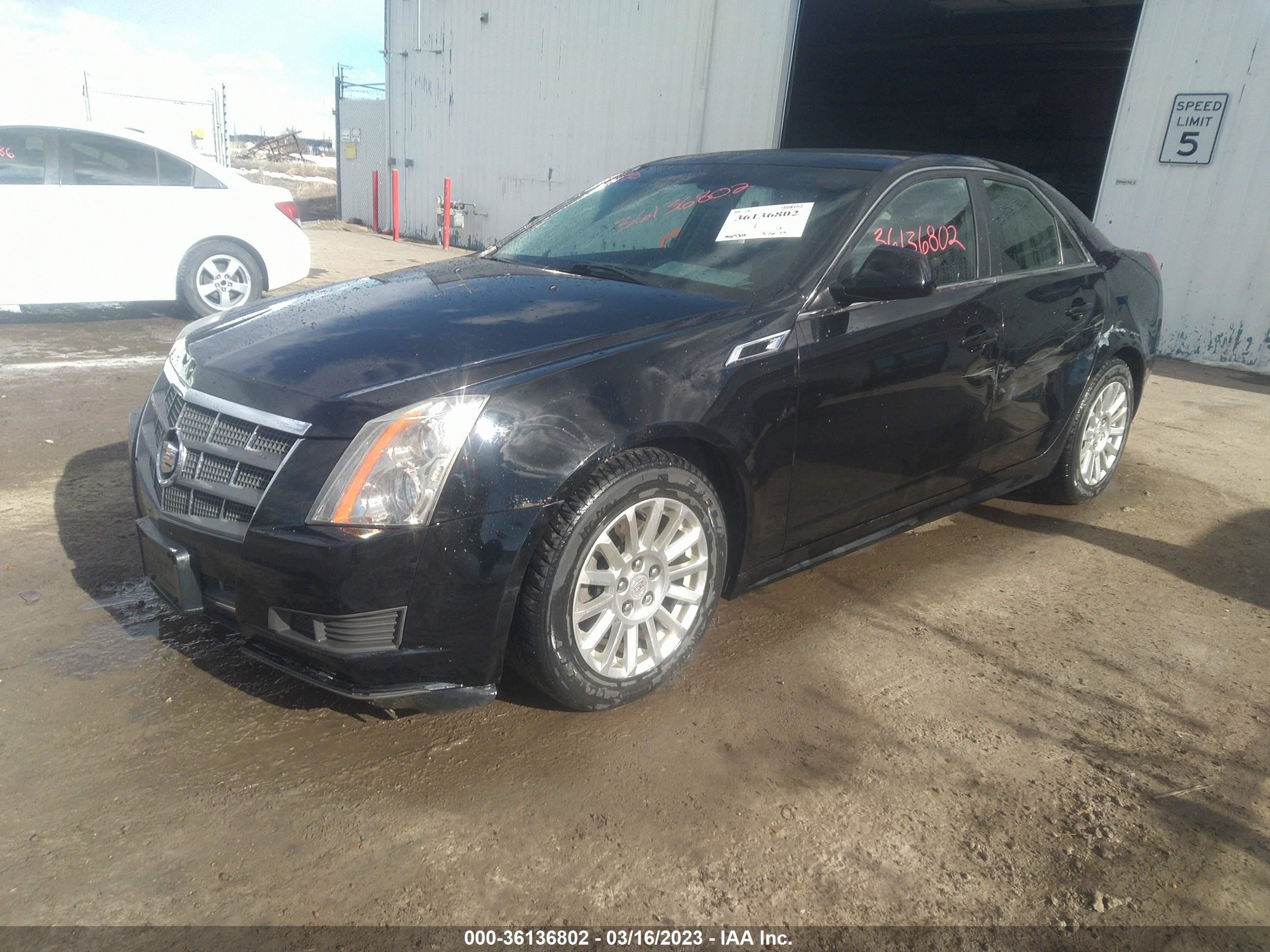 Photo 1 VIN: 1G6DC5EY3B0151084 - CADILLAC CTS 