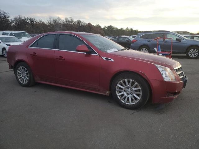 Photo 3 VIN: 1G6DC5EY6B0119455 - CADILLAC CTS 