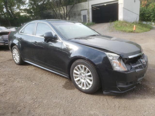 Photo 3 VIN: 1G6DC5EY7B0119044 - CADILLAC CTS 