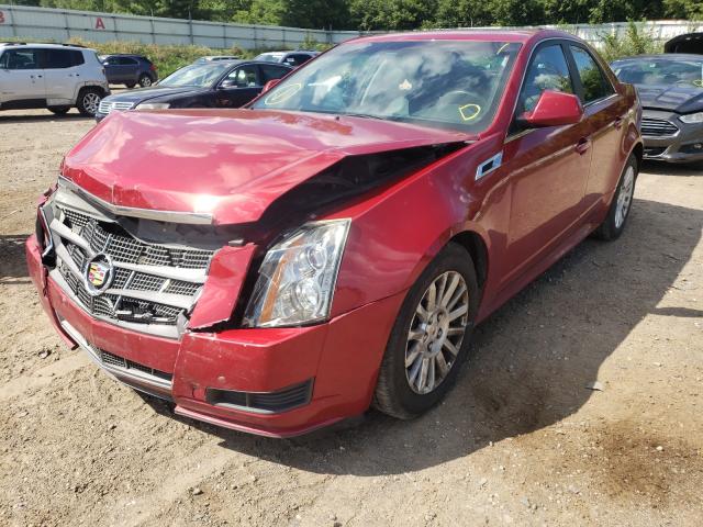 Photo 1 VIN: 1G6DC5EY9B0118008 - CADILLAC CTS 