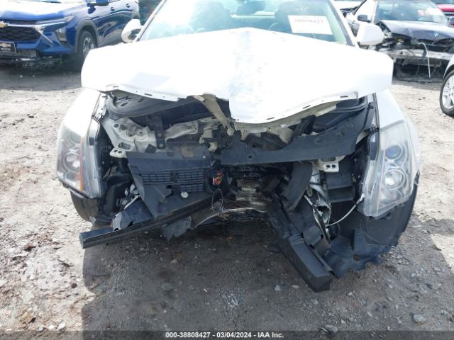 Photo 5 VIN: 1G6DE5E52C0148775 - CADILLAC CTS 