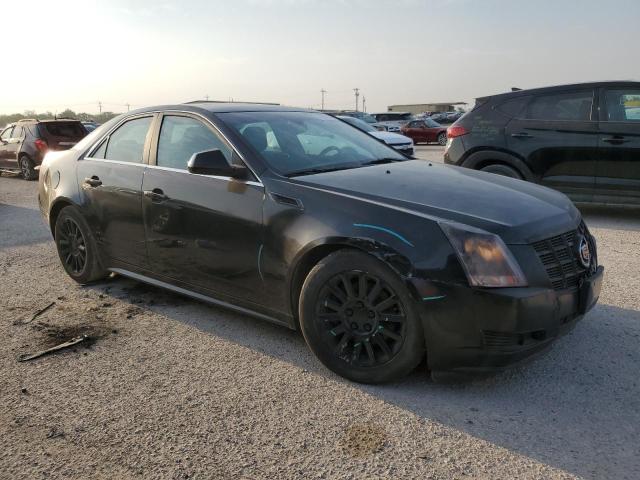 Photo 3 VIN: 1G6DE5E53D0168731 - CADILLAC CTS 