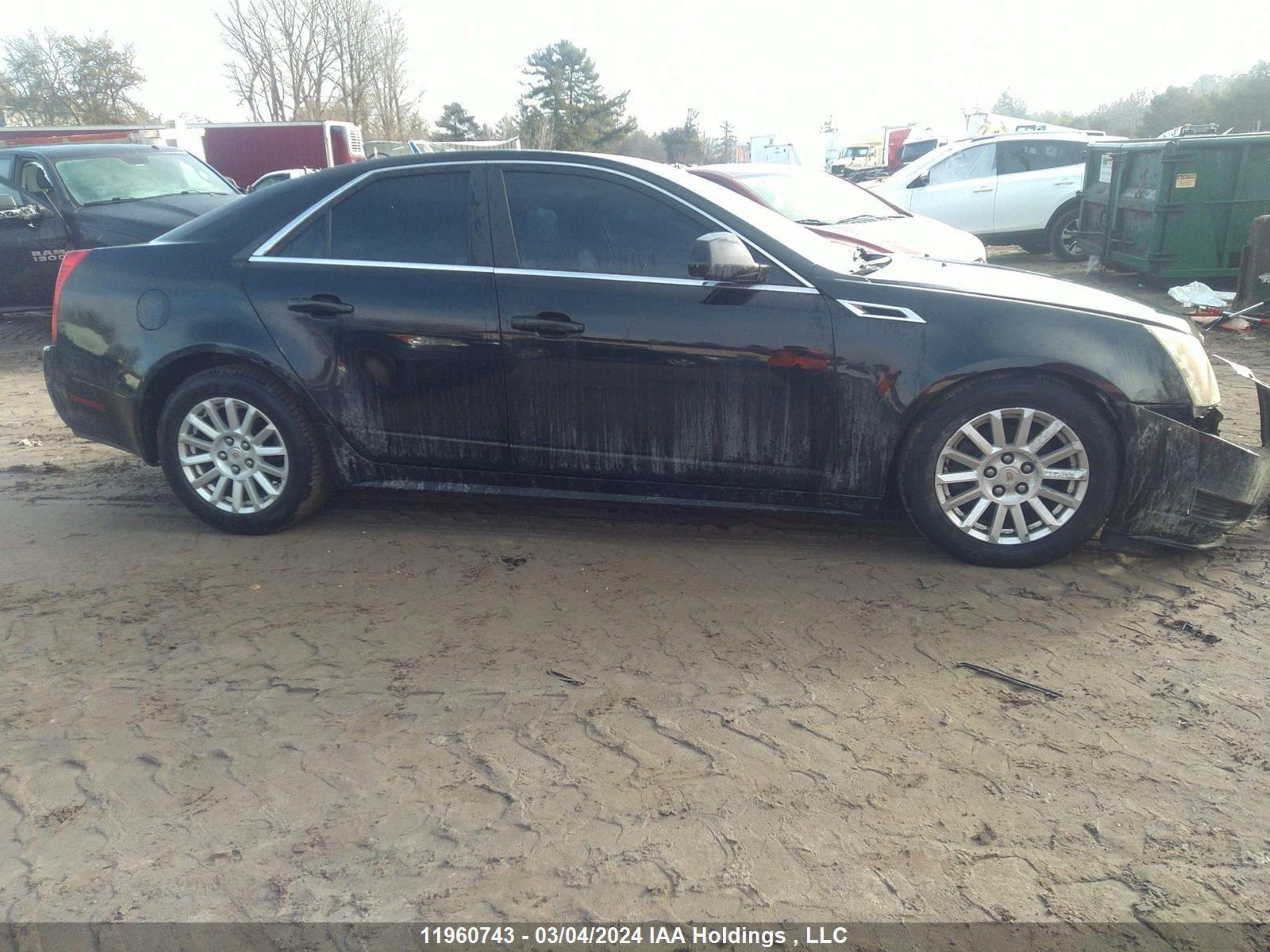 Photo 12 VIN: 1G6DE5E54D0105279 - CADILLAC CTS 