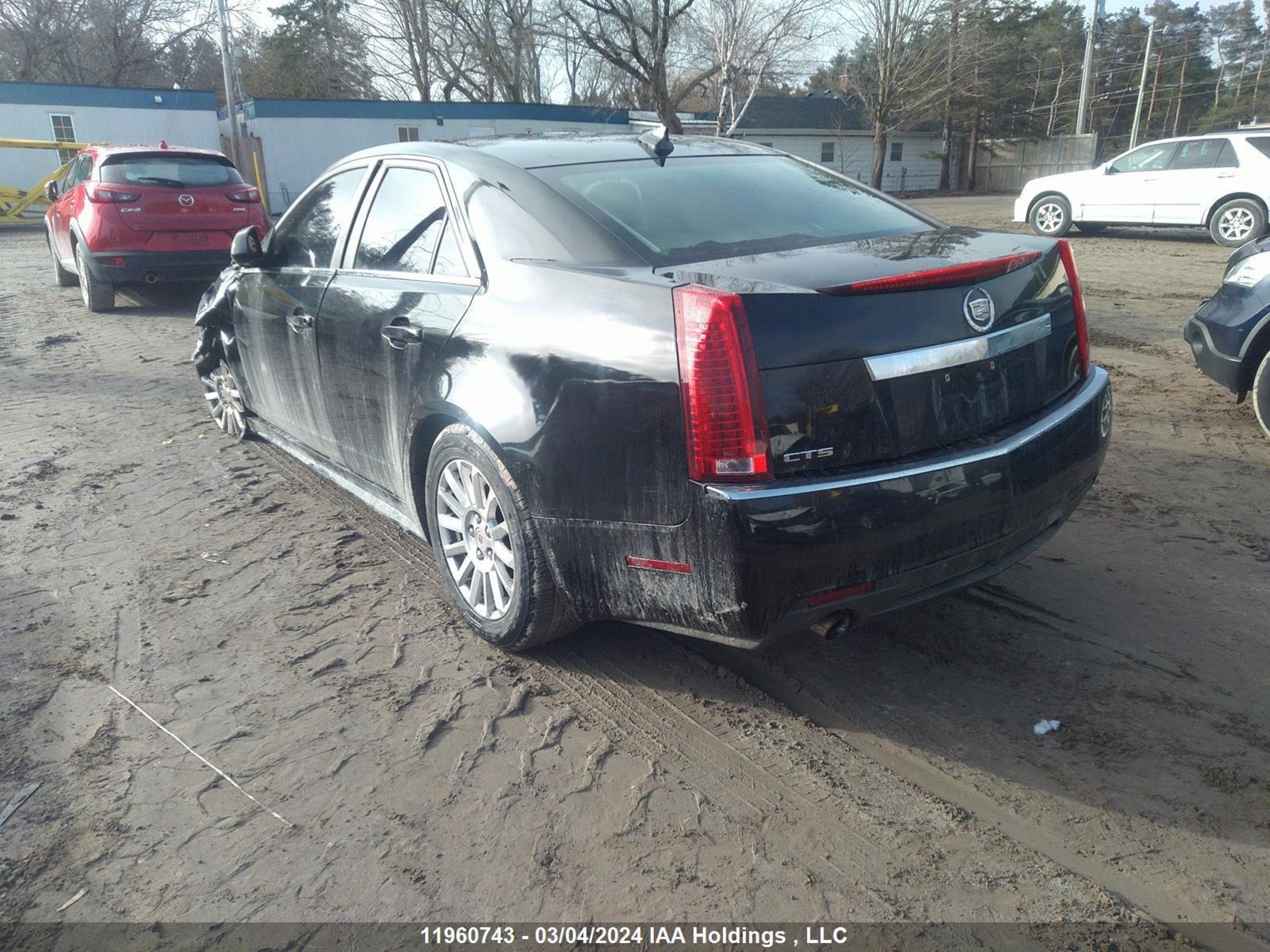 Photo 2 VIN: 1G6DE5E54D0105279 - CADILLAC CTS 