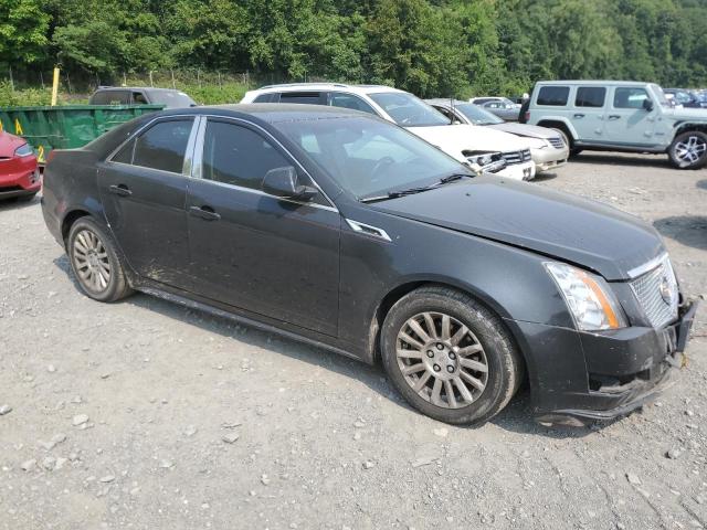 Photo 3 VIN: 1G6DE5E54D0161626 - CADILLAC CTS LUXURY 