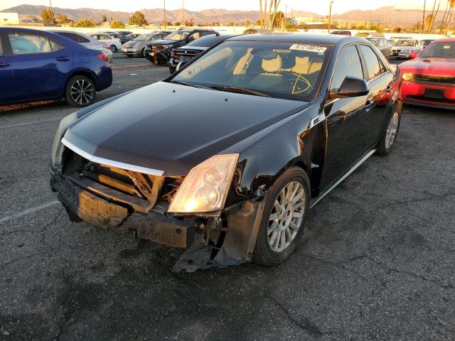 Photo 1 VIN: 1G6DE5E55D0109583 - CADILLAC CTS LUXURY 