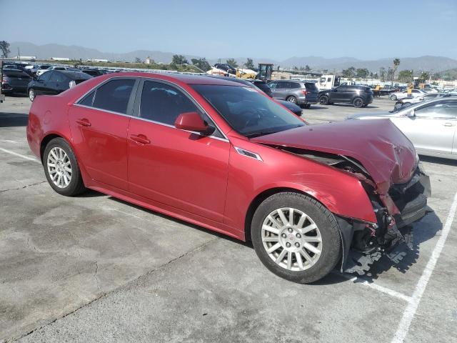 Photo 3 VIN: 1G6DE5E58C0126585 - CADILLAC CTS 