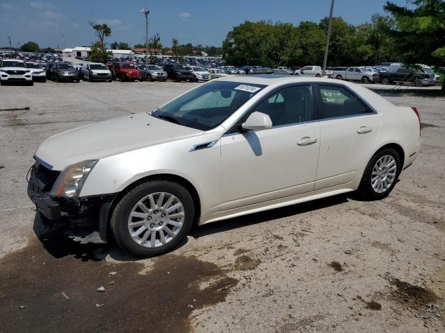 Photo 0 VIN: 1G6DE5E58C0145301 - CADILLAC CTS 