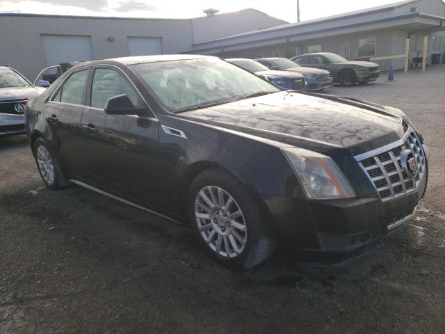 Photo 3 VIN: 1G6DE5E58D0103065 - CADILLAC CTS 