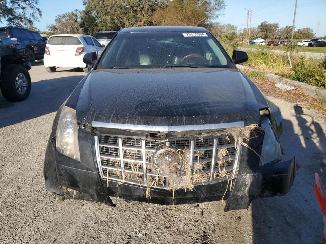 Photo 4 VIN: 1G6DE5E5XC0134851 - CADILLAC CTS LUXURY 