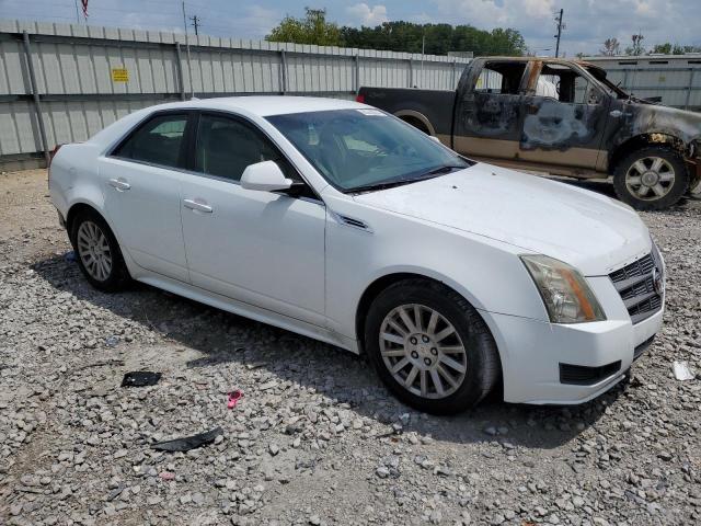 Photo 3 VIN: 1G6DE5EG1A0149169 - CADILLAC CTS 