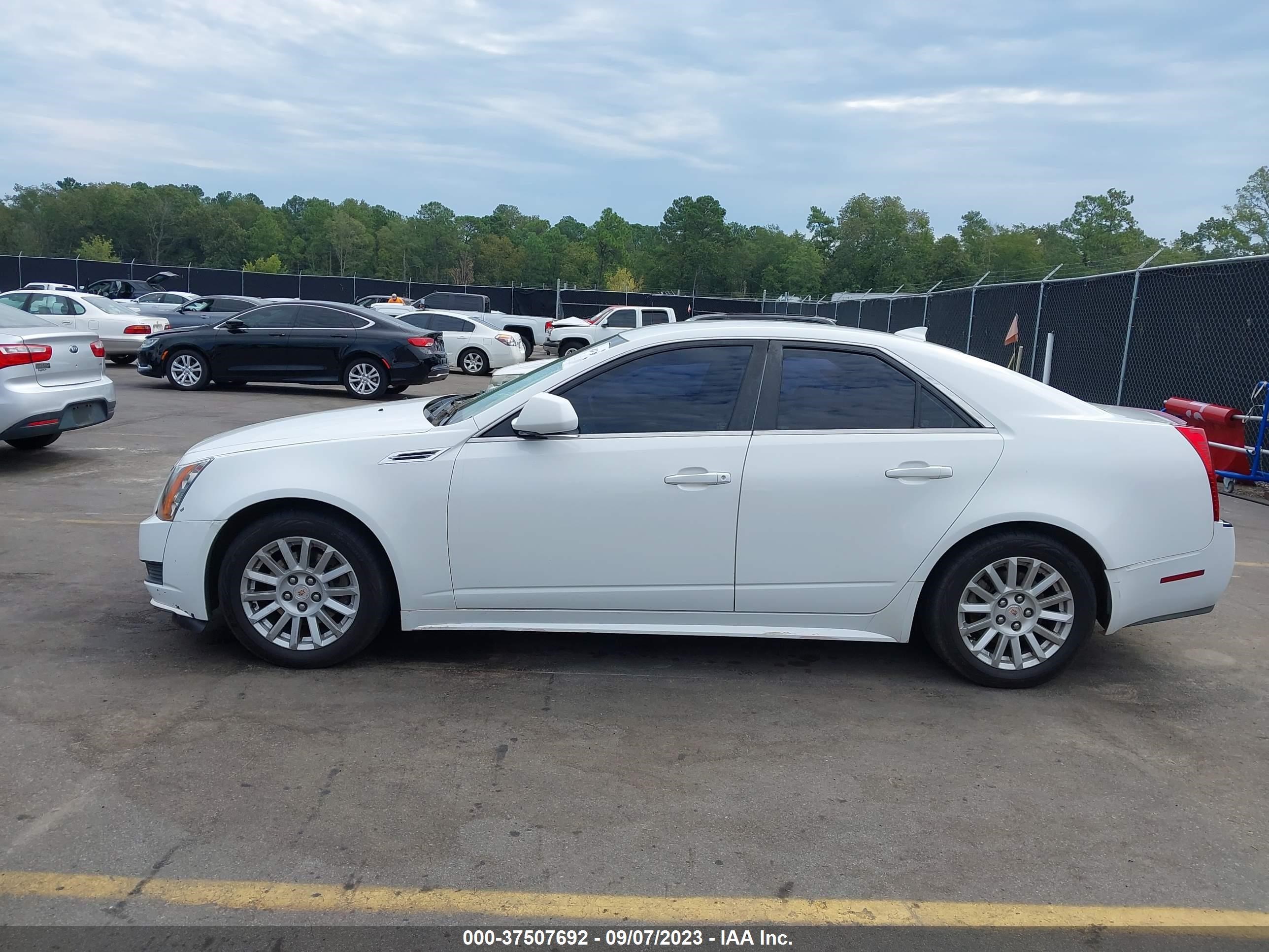 Photo 13 VIN: 1G6DE5EG4A0108115 - CADILLAC CTS 