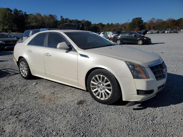 Photo 3 VIN: 1G6DE5EY2B0107071 - CADILLAC CTS 