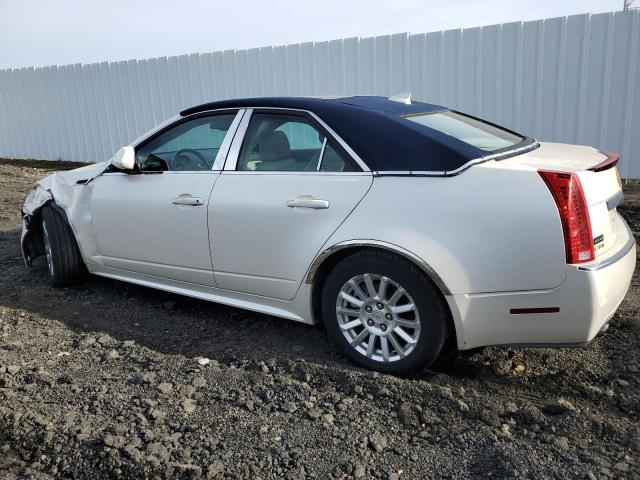 Photo 1 VIN: 1G6DE5EY4B0163187 - CADILLAC CTS 