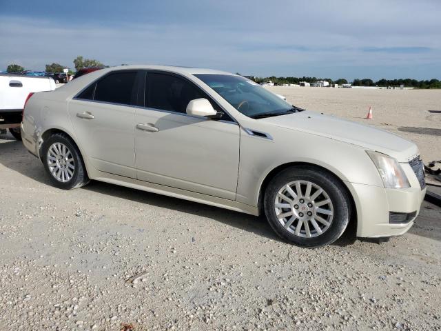 Photo 3 VIN: 1G6DE5EY5B0147094 - CADILLAC CTS LUXURY 