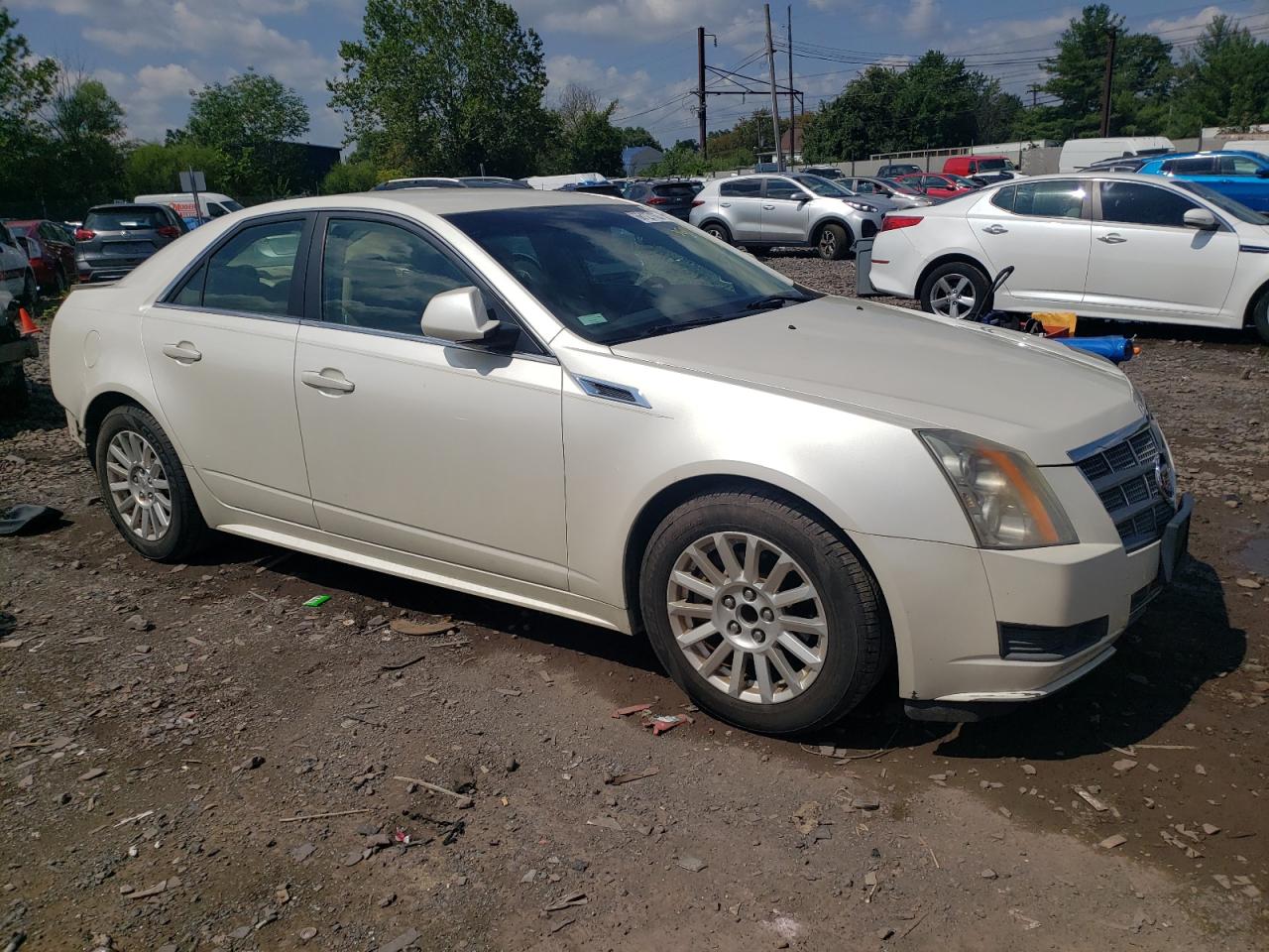 Photo 3 VIN: 1G6DE5EY6B0118817 - CADILLAC CTS 