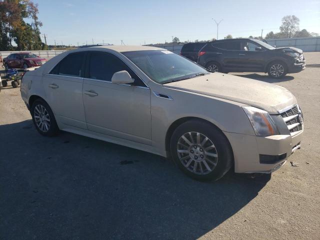 Photo 3 VIN: 1G6DE5EY7B0119443 - CADILLAC CTS 