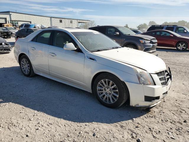 Photo 3 VIN: 1G6DE5EY7B0121807 - CADILLAC CTS LUXURY 