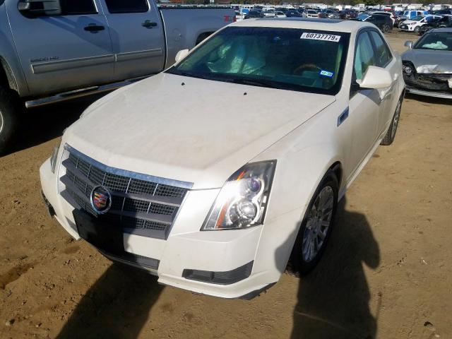 Photo 1 VIN: 1G6DE5EY7B0167427 - CADILLAC CTS LUXURY 