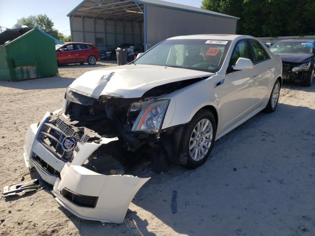 Photo 1 VIN: 1G6DE5EY8B0145937 - CADILLAC CTS LUXURY 