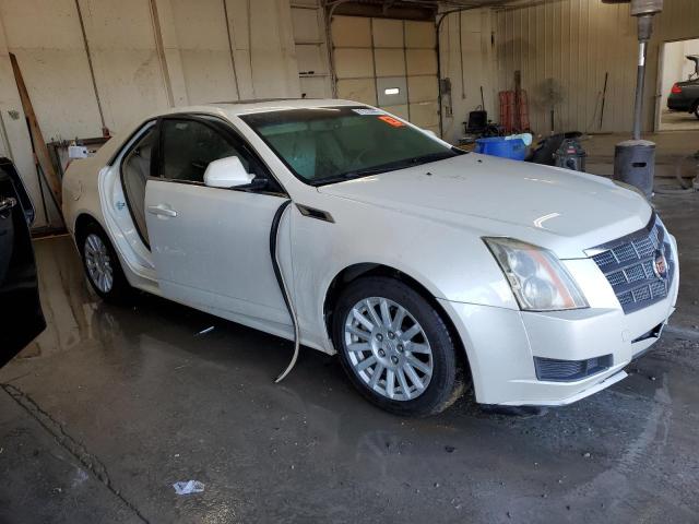 Photo 3 VIN: 1G6DE5EYXB0104130 - CADILLAC CTS LUXURY 