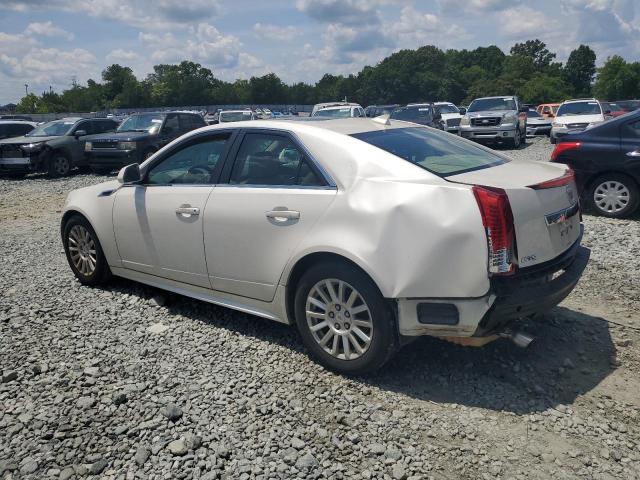 Photo 1 VIN: 1G6DF5E53C0114650 - CADILLAC CTS 