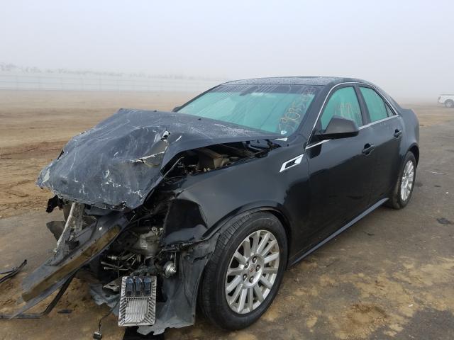 Photo 1 VIN: 1G6DF5E59D0172036 - CADILLAC CTS LUXURY 