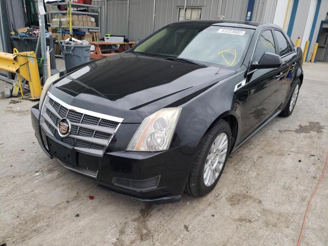 Photo 1 VIN: 1G6DF5EYXB0132460 - CADILLAC CTS LUXURY 