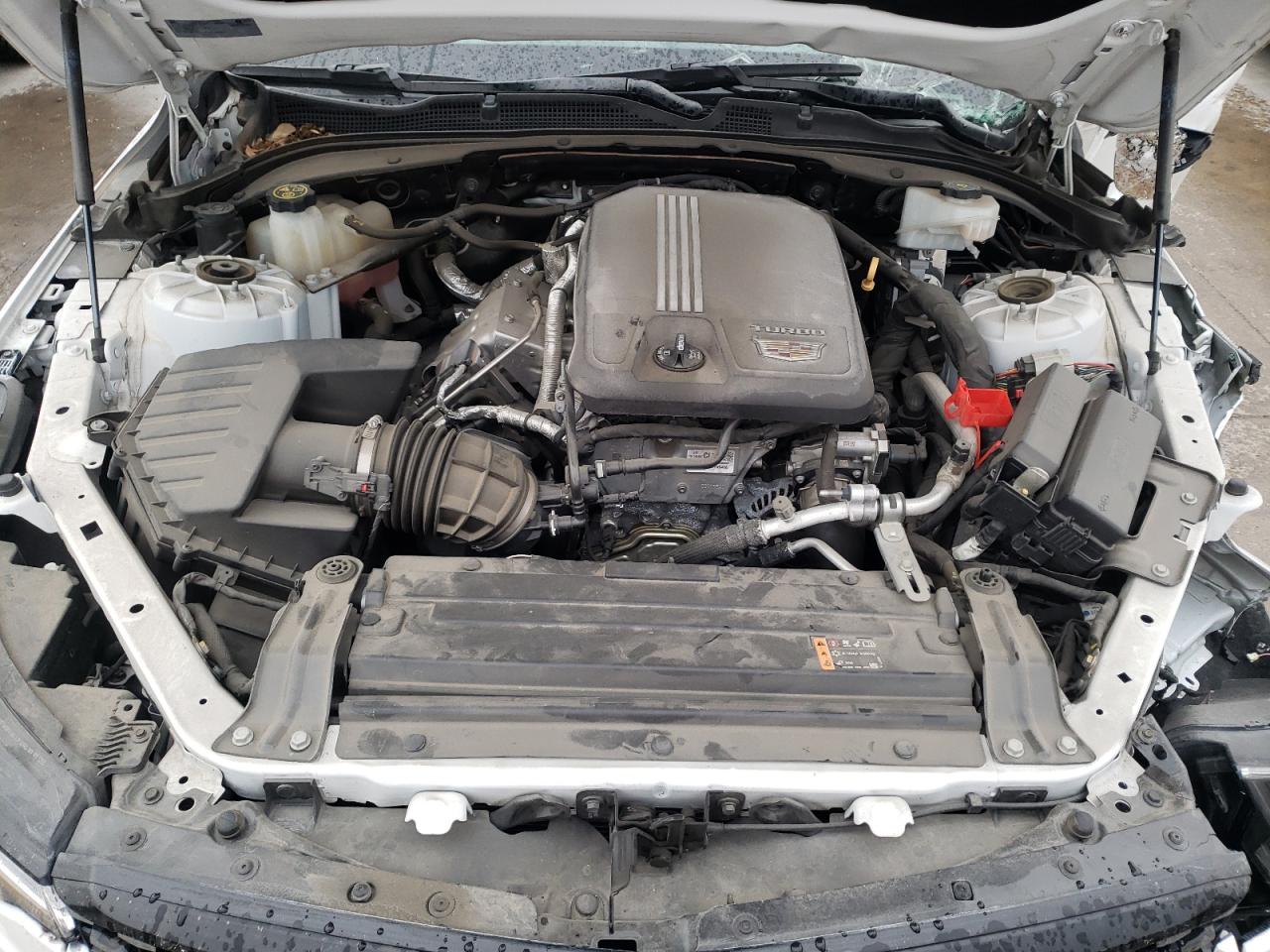 Photo 10 VIN: 1G6DF5RK5L0144491 - CADILLAC CT4 