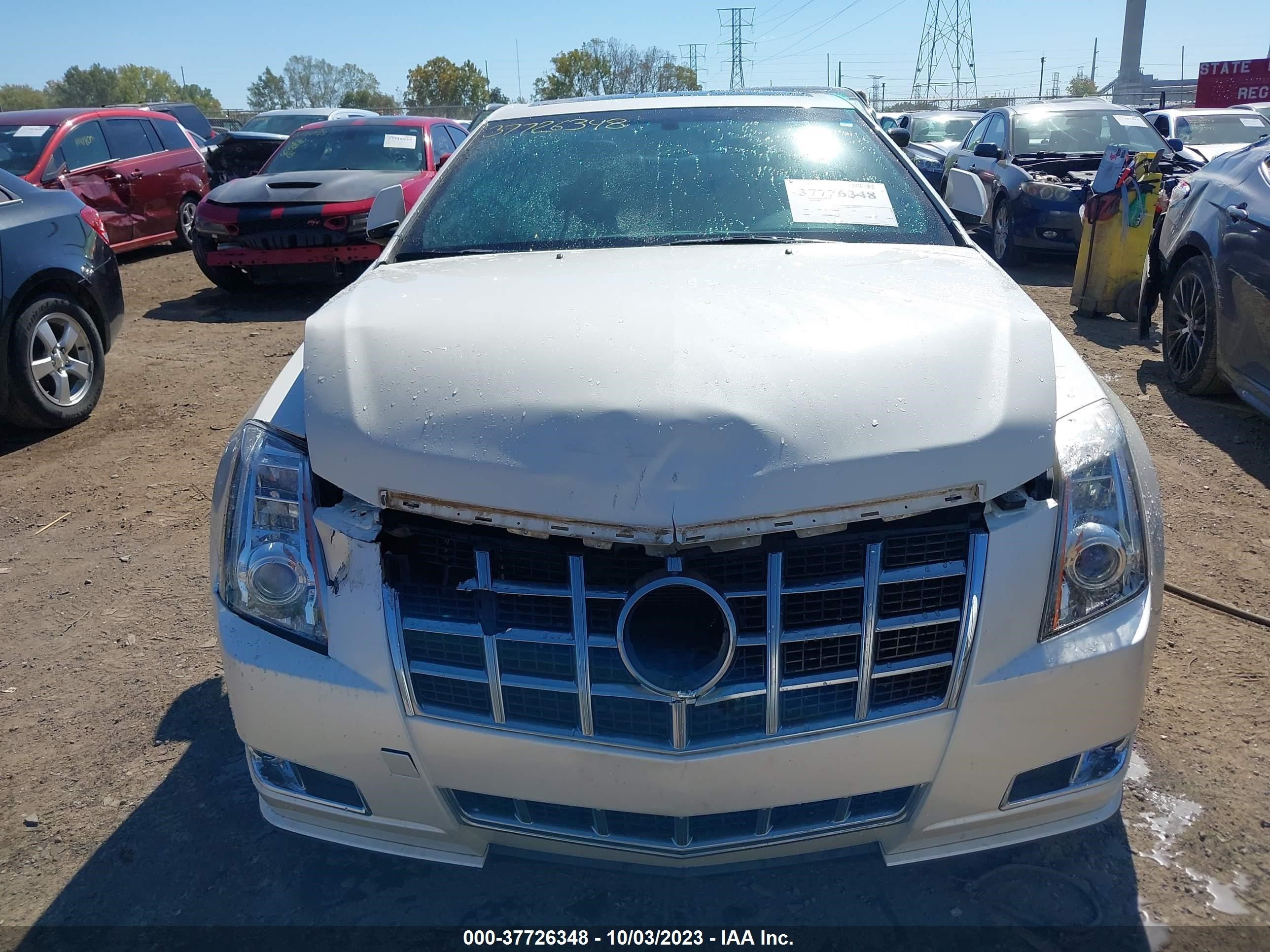 Photo 11 VIN: 1G6DG1E37E0117445 - CADILLAC CTS 