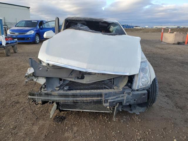 Photo 4 VIN: 1G6DG577190152205 - CADILLAC CTS 