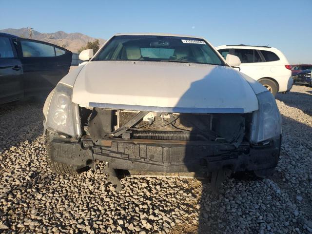 Photo 4 VIN: 1G6DG577890155182 - CADILLAC CTS 