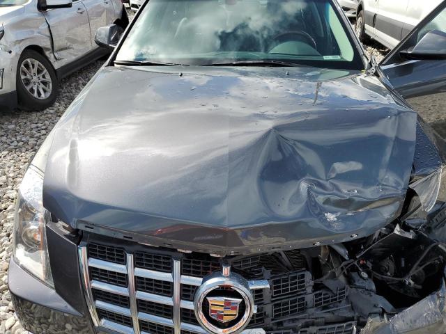 Photo 10 VIN: 1G6DG5E50D0120520 - CADILLAC CTS LUXURY 