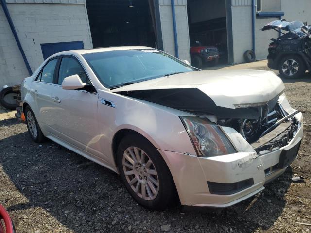 Photo 3 VIN: 1G6DG5E55D0119248 - CADILLAC CTS LUXURY 