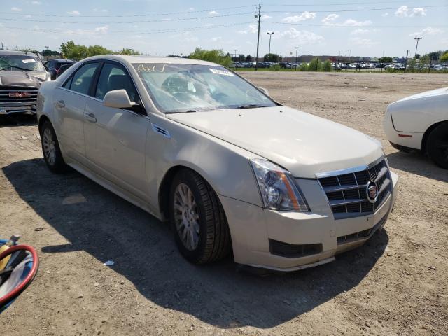 Photo 8 VIN: 1G6DG5EG6A0145788 - CADILLAC CTS LUXURY 