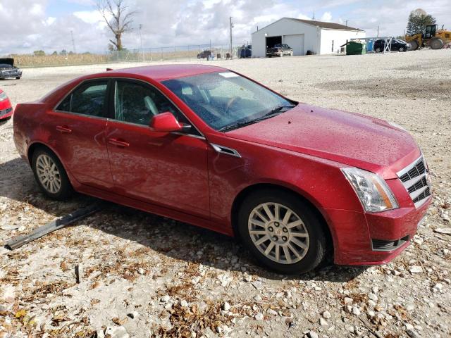 Photo 3 VIN: 1G6DG5EY8B0127383 - CADILLAC CTS LUXURY 