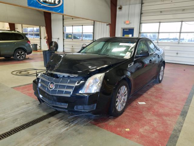 Photo 1 VIN: 1G6DG5EYXB0119186 - CADILLAC CTS LUXURY 