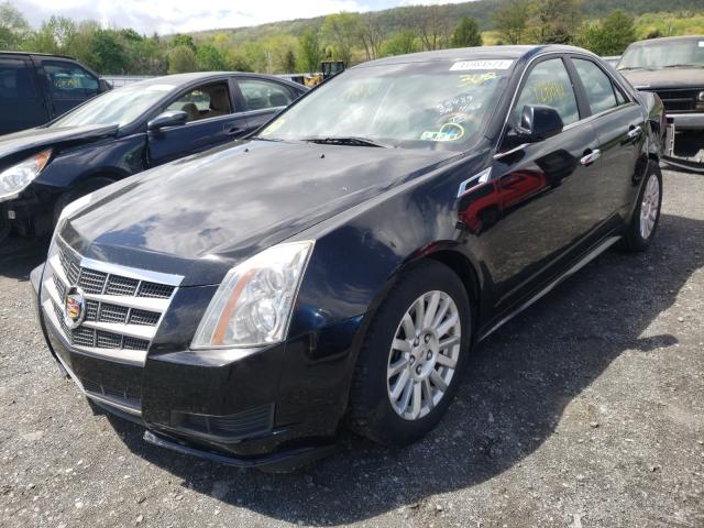 Photo 1 VIN: 1G6DG5EYXB0137882 - CADILLAC CTS LUXURY 