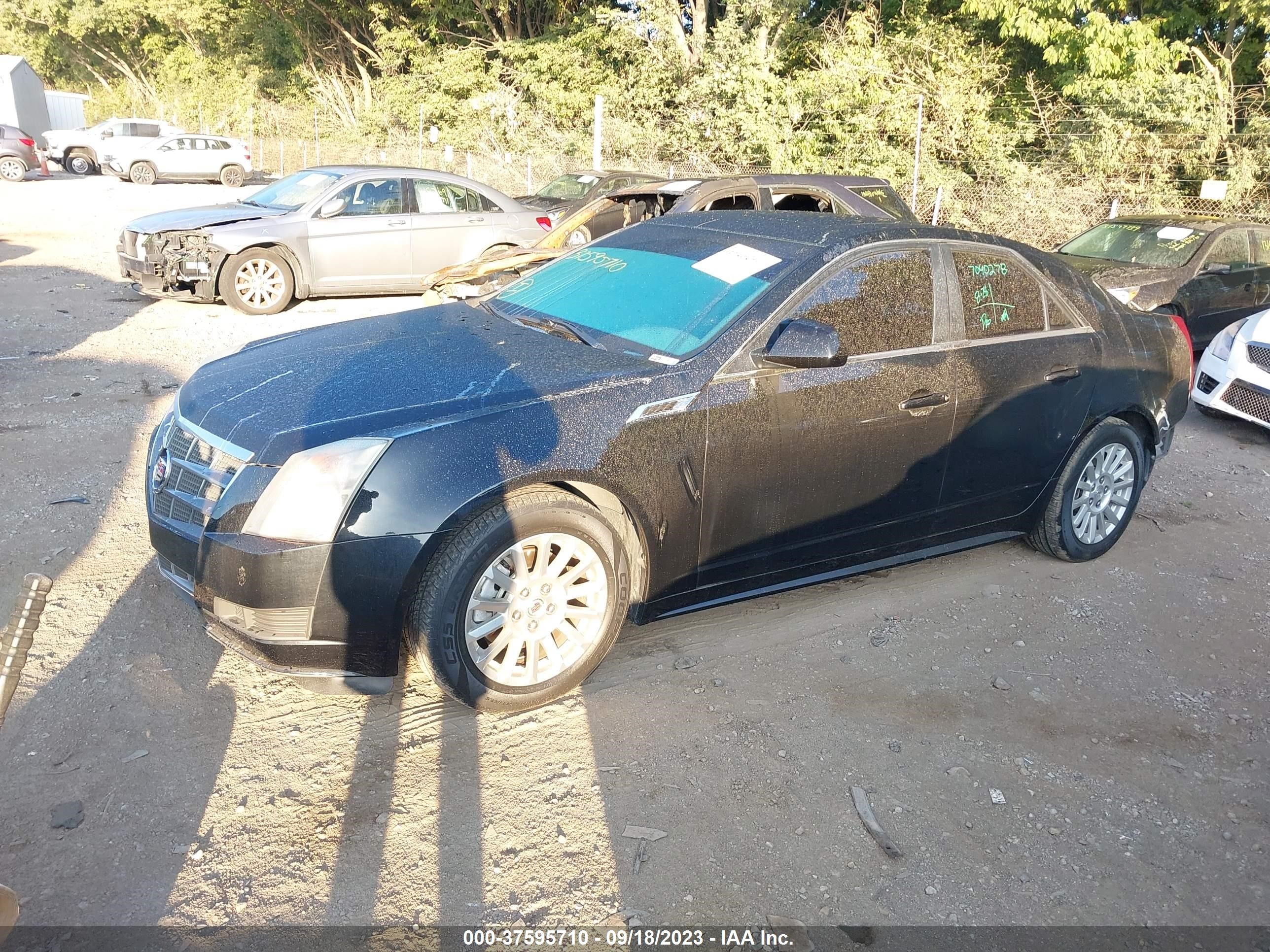 Photo 1 VIN: 1G6DG5EYXB0164211 - CADILLAC CTS 