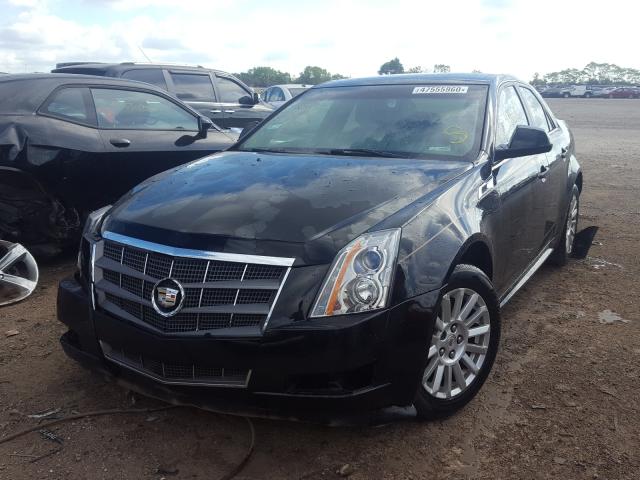 Photo 1 VIN: 1G6DG5EYXB0168937 - CADILLAC CTS LUXURY 