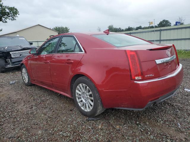 Photo 1 VIN: 1G6DH5EY6B0107601 - CADILLAC CTS LUXURY 