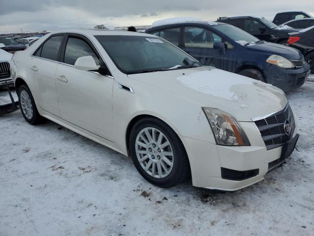 Photo 3 VIN: 1G6DH5EY7B0139540 - CADILLAC CTS 