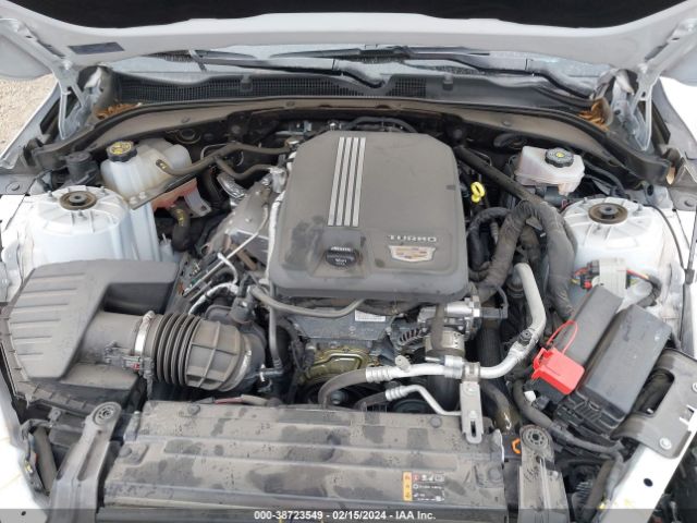 Photo 9 VIN: 1G6DJ5RK4N0114237 - CADILLAC CT4 