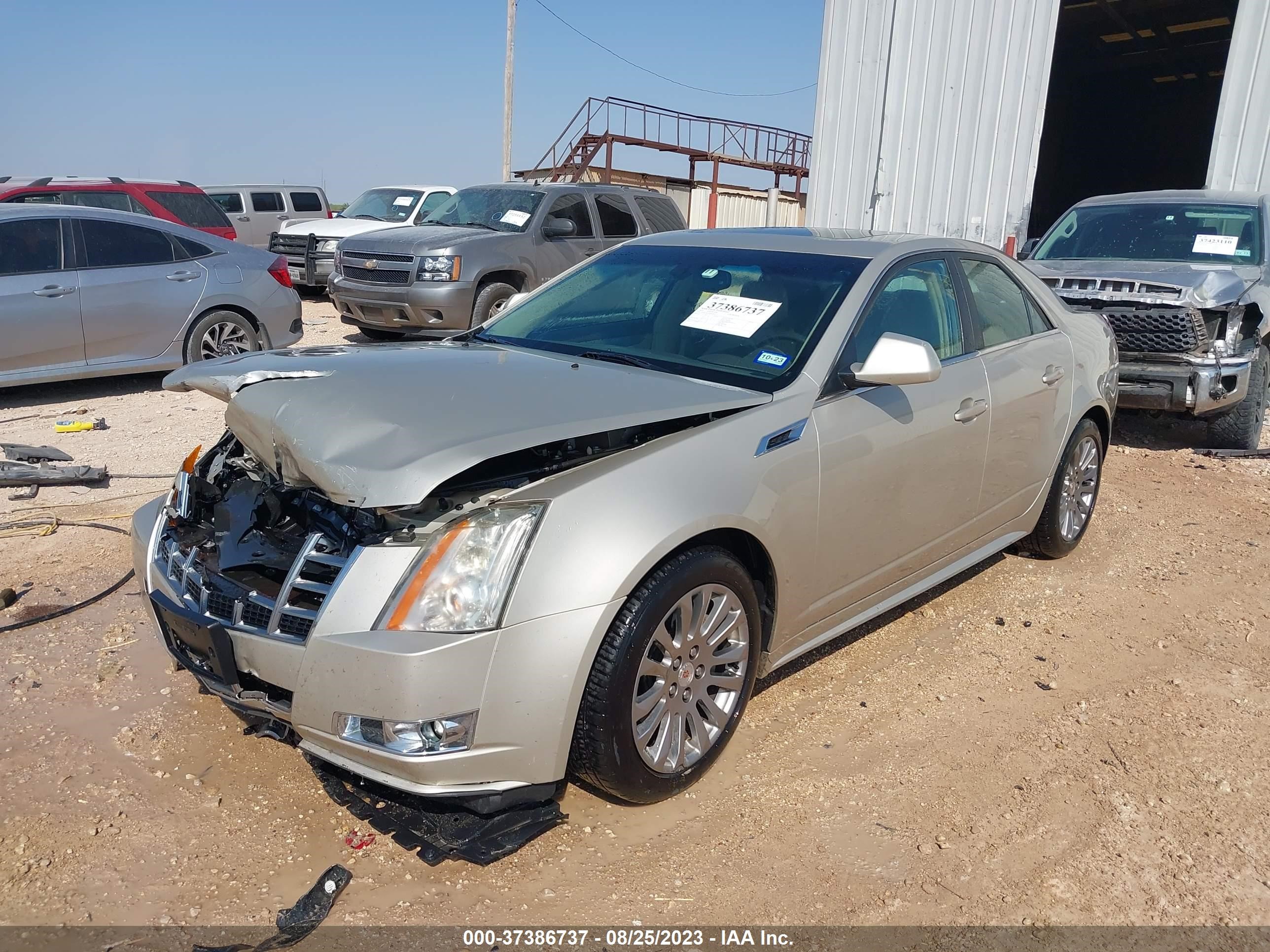 Photo 1 VIN: 1G6DK5E37D0163619 - CADILLAC CTS 