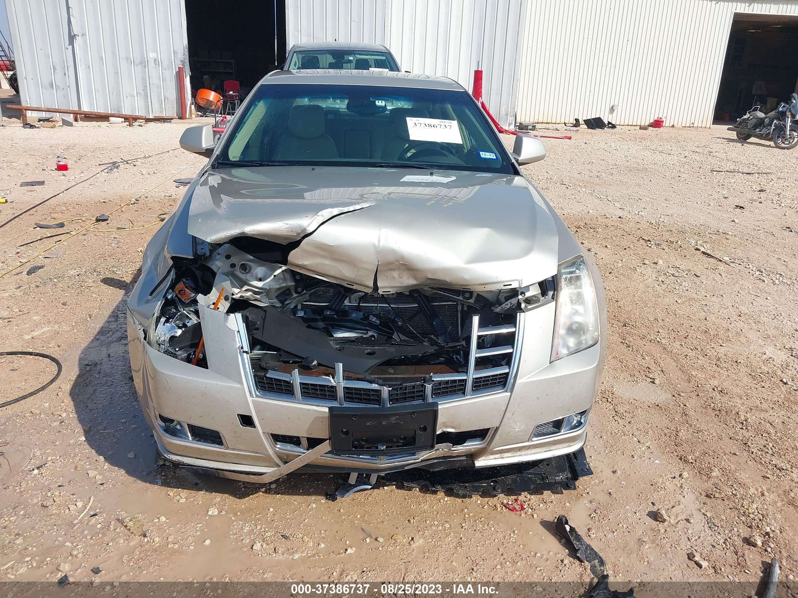 Photo 11 VIN: 1G6DK5E37D0163619 - CADILLAC CTS 